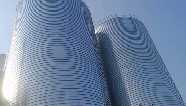 通州2座混凝土高架卷板仓